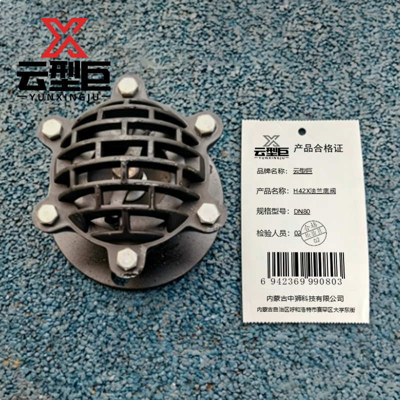 云型巨 H42X法兰底阀 DN80 个高清大图
