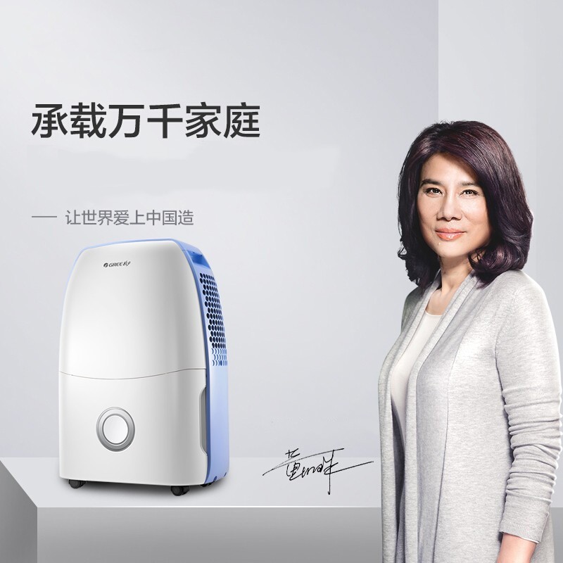 格力(GREE) 除湿机 DH12EA 除湿量12升/天 适用面积18-22平方米高清大图