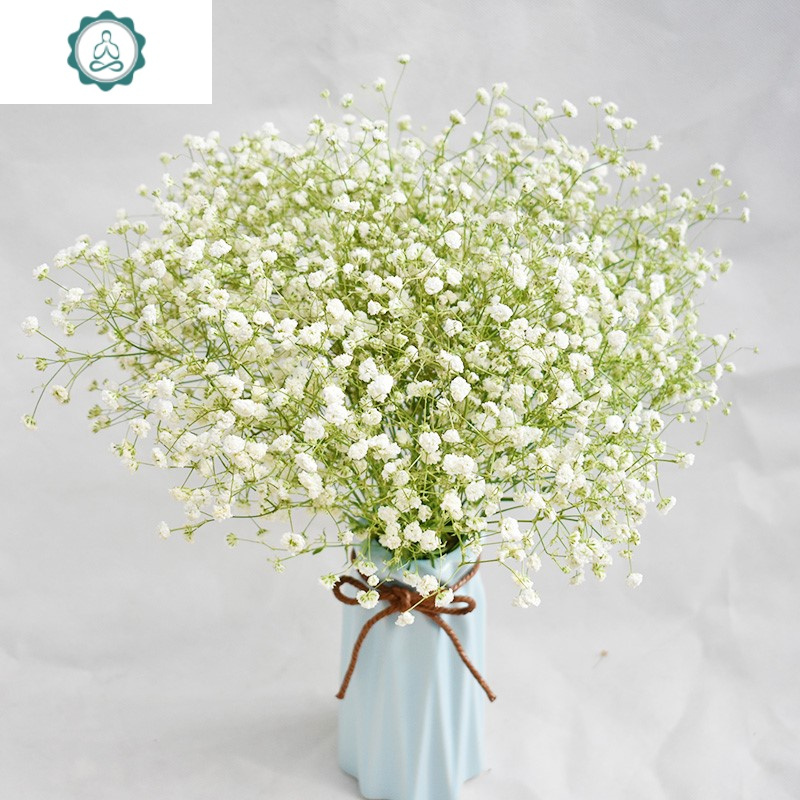 满天星干花花束带花瓶客厅家居摆设勿忘我插花ins干花装饰小清新 封后