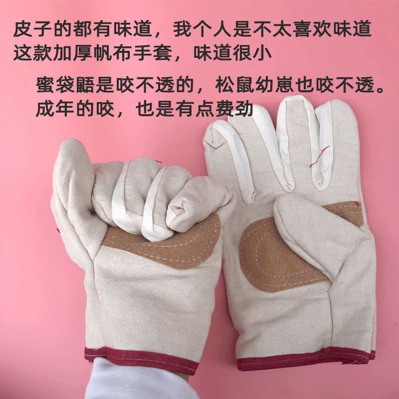 防咬手套松鼠飞鼠蜜袋鼯土巴鼠仓鼠猫狗狗防抓咬加厚手套宠物用品 加厚帆布手套