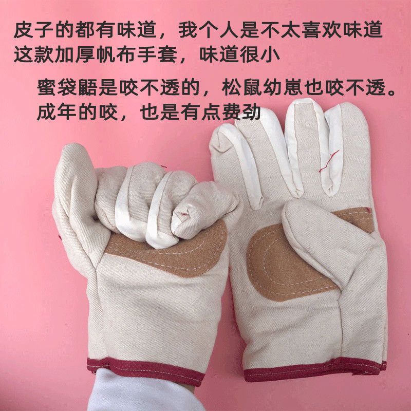 防咬手套松鼠飞鼠蜜袋鼯土巴鼠仓鼠猫狗狗防抓咬加厚手套宠物用品 加厚帆布手套