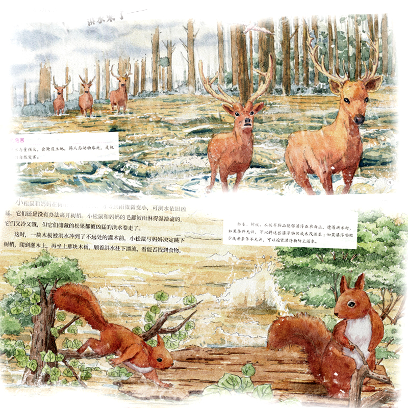 讲给孩子的自然灾害科普绘本[全8册] [正版]讲给孩子的自然灾害科普绘本全8册儿童绘本气象现象冰雹科暴雪地震火灾洪水火山高清大图