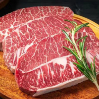 货出六盘 宁夏西吉县谷草饲喂养 六盘山牛肉 精品黄牛 原切雪花牛板腱2斤