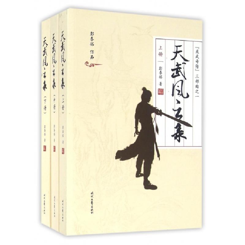 正版新书】天武风云录(上中下)彭泰铭9787538751581