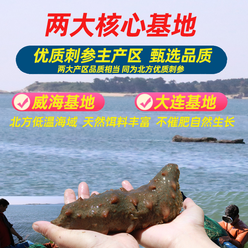 [门店同城可4小时达]宫品M7精选有机淡干海参60-80只500g礼盒装 辽宁大连辽刺参生鲜海鲜水产
