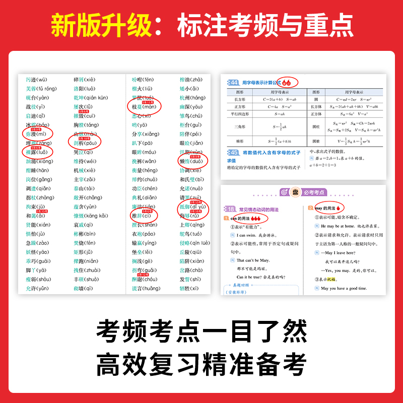 人手一套[语文+数学+英语]知识大盘点 小学通用 [正版]2025小学知识大盘点语文数学英语基础知识大全四五六年级考试总高清大图