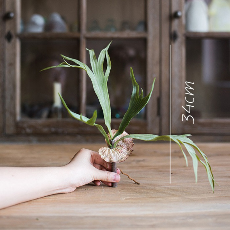 美帮汇大型鹿角蕨 仿真花装饰热带植物绿植 壁挂垂吊造景陈列 大鹿角蕨盆景高清大图