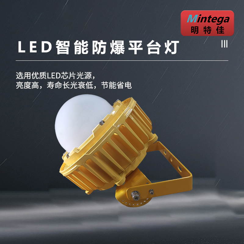 明特佳-Mintega FPD8504Z-L100 LED智能防爆平台灯 100W 黄色 (单位:套)