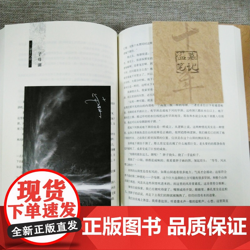 [赠明信片]盗墓笔记十年 正版典藏版 盗墓笔记十年之约小说南派三叔著 盗墓笔记鬼吹灯全集沙海藏海花系列侦探悬疑推理盗墓小高清大图