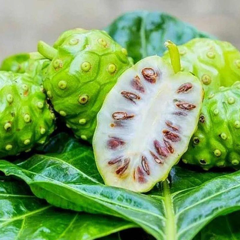 海南原产地诺丽果干果片纯天然富硒酵素干养生清热消暑水果茶买2送1发