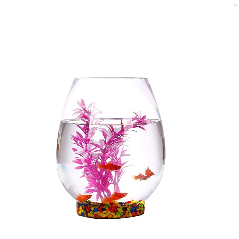 鱼缸玻璃水培植物花瓶花盆高透明恐龙蛋绿萝创意水养鱼缸器皿容高清大图