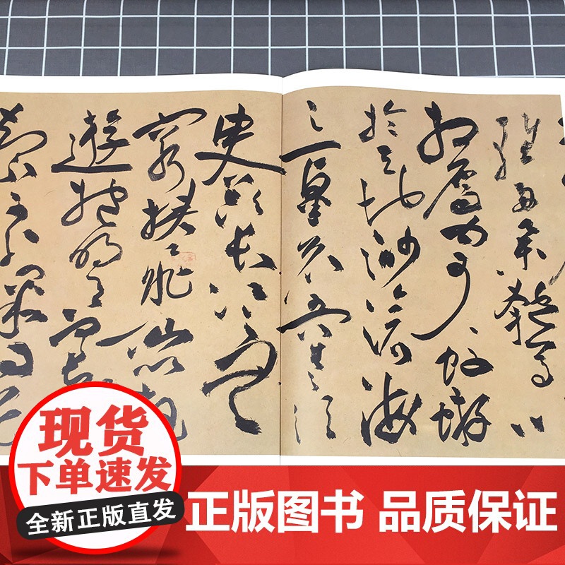 祝允明书前后赤壁赋 彩色放大本中国著名碑帖 孙宝文编 书法篆刻 书法碑帖 书法爱好者字帖 鉴赏收藏 上海辞书出版社高清大图