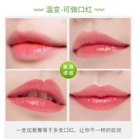 [三支装]小甘菊温变润唇膏雏菊洋甘菊孕妇可用修护润唇膏改善粗糙唇纹保湿滋润学生口红防干裂冬天