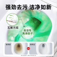 国货品牌丁家宜洁厕液除菌去黄垢去味艾草芳香500g洁厕灵家用实惠装