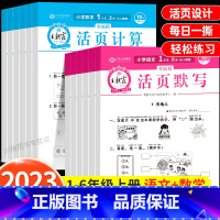 [数学/全2册]活页计算+数学单元活页卷 六年级上 [正版]2023新活页计算+活页默写天天练一二三年级上册语文数学同步