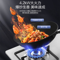 万和(Vanward) 一级能效 天然气灶具 煤气灶双眼灶 台式灶具嵌入式灶两用 燃气炉具自营 JZT-B6B338XW