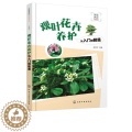 【醉染正版】观叶花卉养护从入门到精通 家庭养花书系 观叶花卉知识分类介绍 养花操作一本通 花卉的认知 基本养护方法详庭