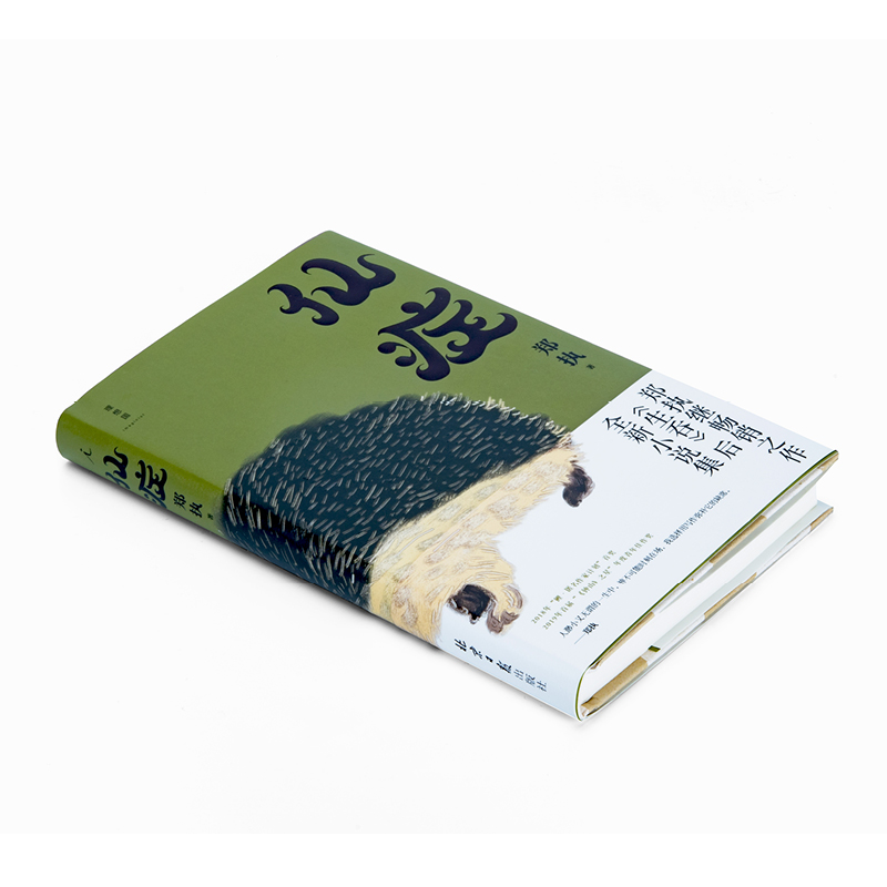 [正版] 《仙症》 郑执 生吞作者 刺猬 电影原著小说改编 鲤·匿名作家计划奖中国现当代文学作品小说集书籍魔幻故事侦探高清大图