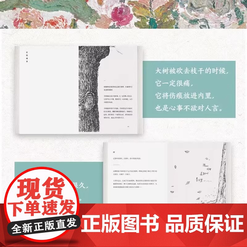 一蔸雨水一蔸禾 蔡皋 78岁“宝藏奶奶”艺术家蔡皋澄澈人生笔记 “金苹果奖”得主 宝儿桃花源的故事银杏叶子百鸟羽衣 散文高清大图