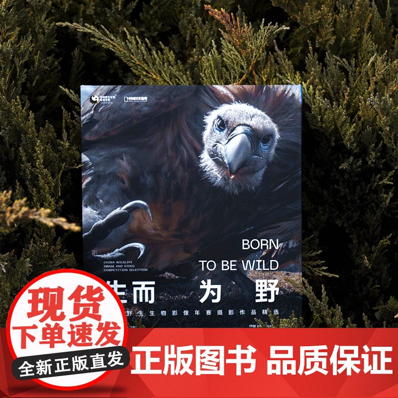 生而为野中国野生生物摄影年赛摄影作品精选 野生动物摄影集 中国国家地理图书高清大图