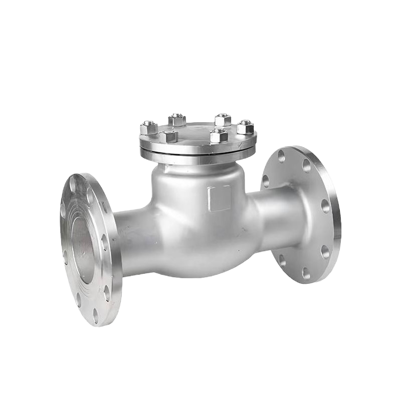 宏瑞泰 止回阀 DN80 个高清大图