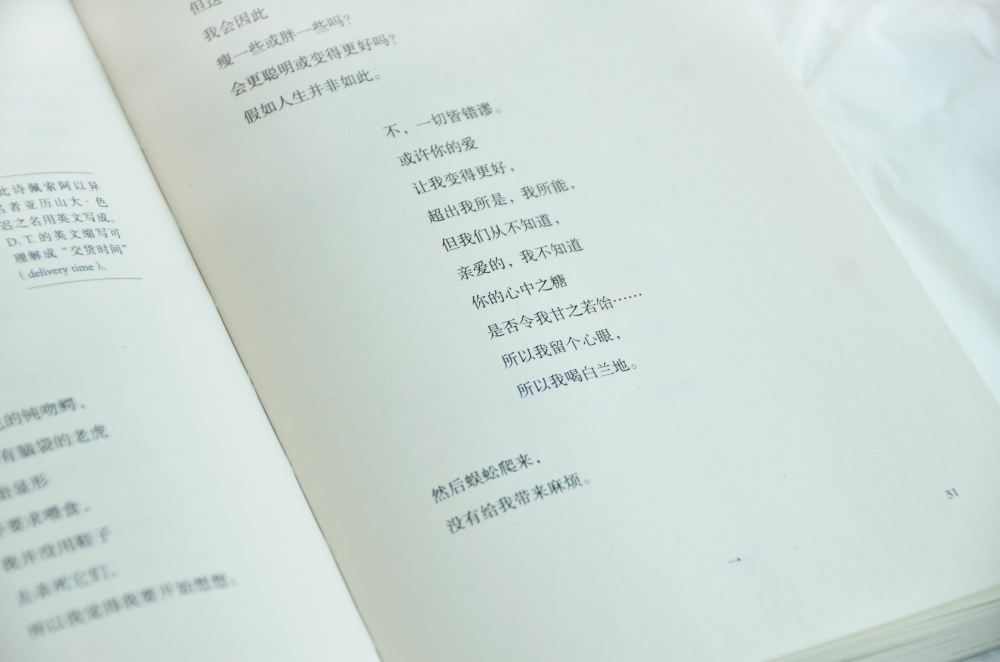 [正版]我的心迟到了 佩索阿情诗 葡萄牙诗人 佩索阿情诗集 诗歌 爱情 情诗 情书 外国文学 经典 北岛 舒婷 西川 阿高清大图