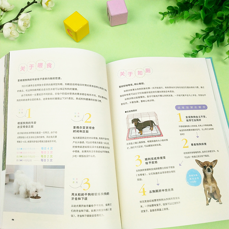 [正版图书]犬种大图鉴 100种人气狗狗图鉴 世界珍稀犬种知识 宠物大百科书籍狗子专业饲养指南养狗健康伤病基础知识 科普