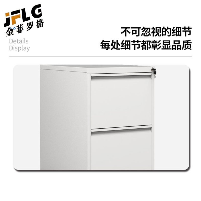 苏宁 金菲罗格 办公家具 钢制储物文件档案资料挂劳柜 二斗卡箱高清大图