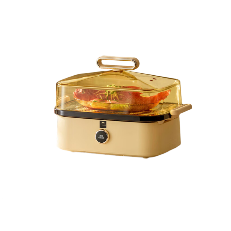 康宁(VISIONS) 电蒸锅电炖锅蒸锅 玻璃大容量 多功能 【单层】 8L WK-DZG001-KDN/KZ