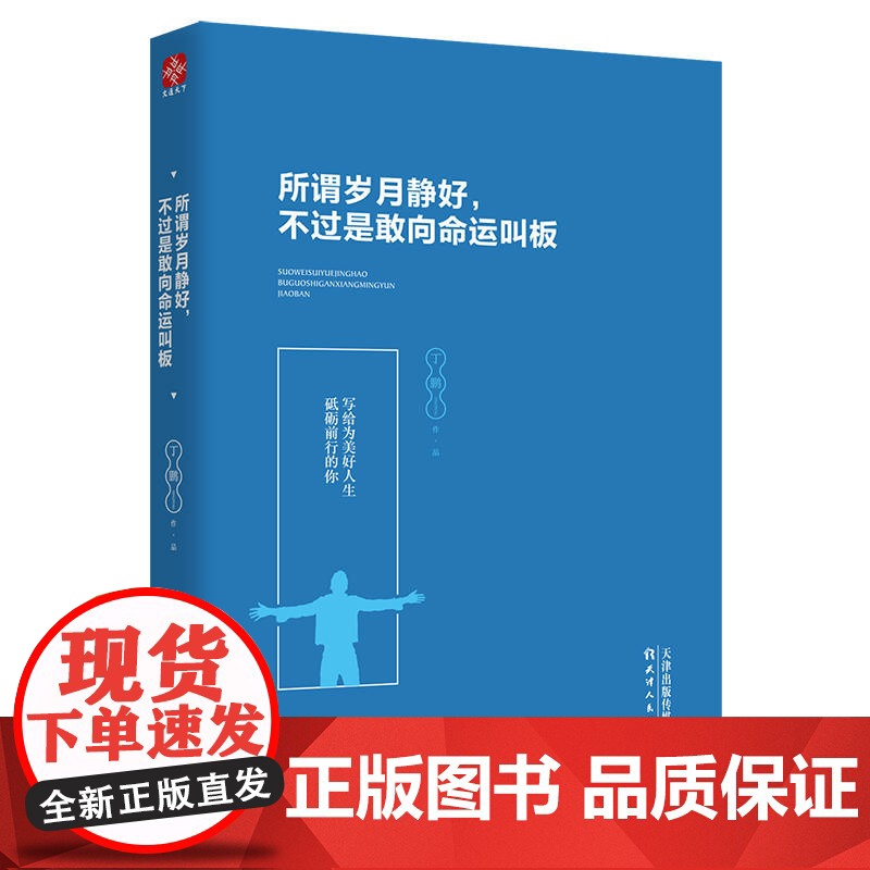 所谓岁月静好,不过是敢向命运叫板 丁鹏 天津人民出版社 正版书籍高清大图