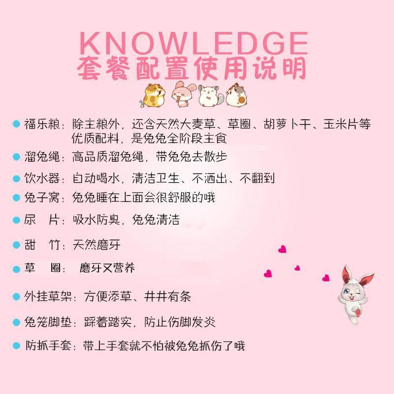 小号兔笼(单笼)随机色 随机色 兔笼兔子笼子特大号免自动清粪宠物荷兰猪兔兔家用养殖用品别墅窝