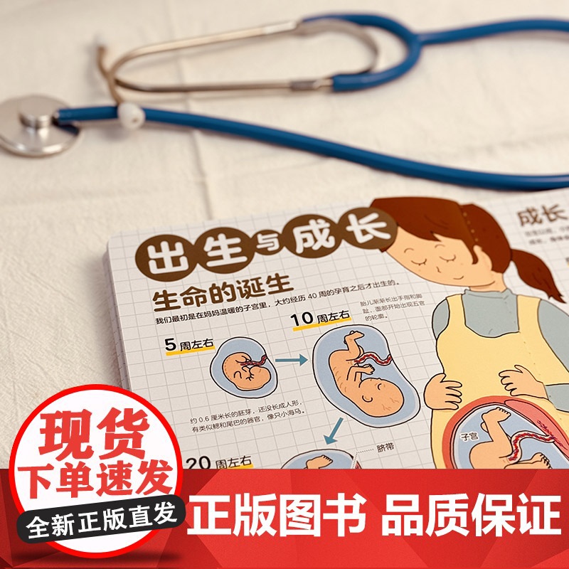 赠听诊器浪花朵朵正版 听诊器听一听身体认知绘本 3-4-5-6岁儿童身体认知绘本婴幼儿启蒙认知早教绘本[日]林有美 森之高清大图