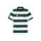 Ralph lauren拉夫劳伦T恤男子Polo 衫条纹个性青春休闲