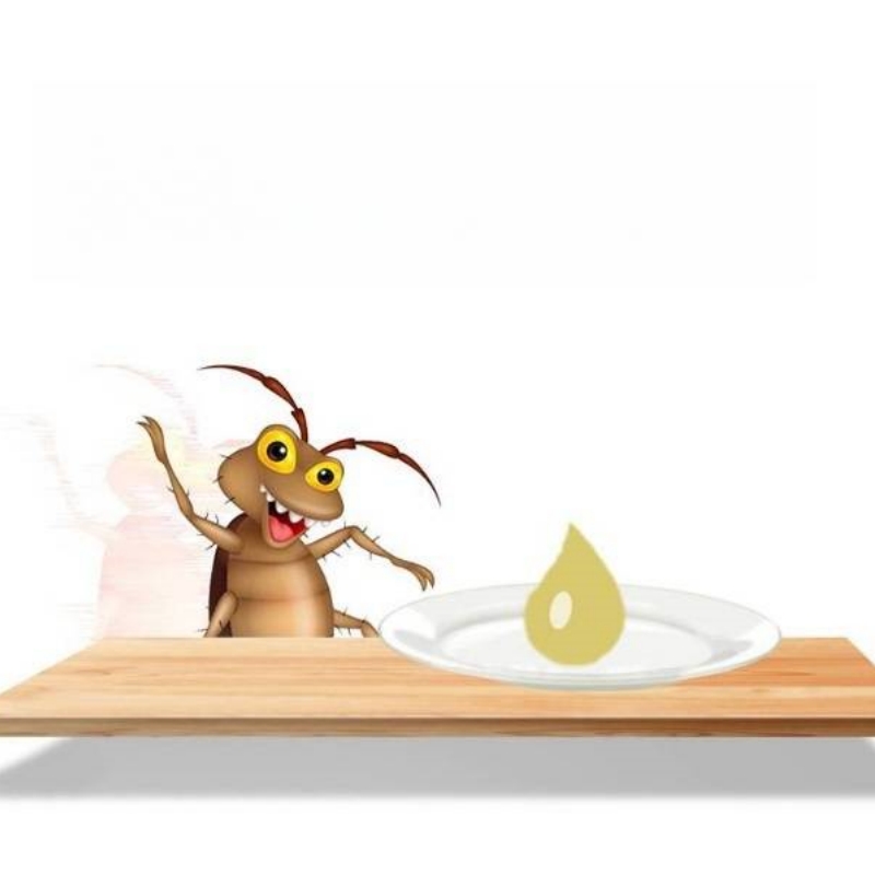 皎洁 杀蟑胶饵10g/支高清大图