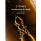 ZYCHEE DECO系列家居香薰 ZY-XF07A-DFBJ-500 500ml BDZSSC