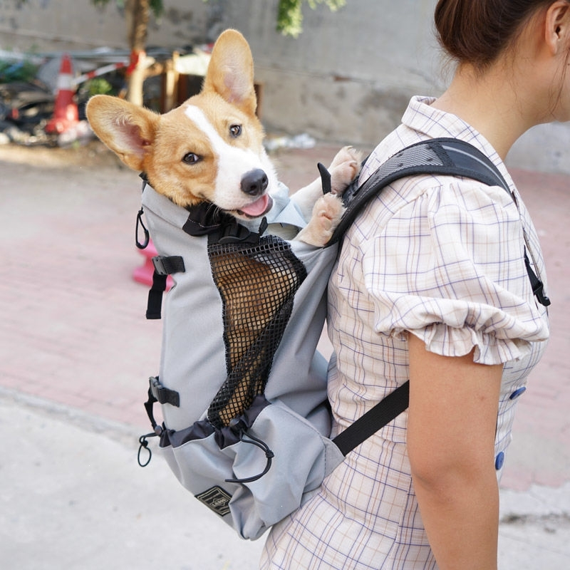 柯基背包狗狗法耐外出双肩背狗包大狗便携大号大型犬宠物柴犬法斗金毛