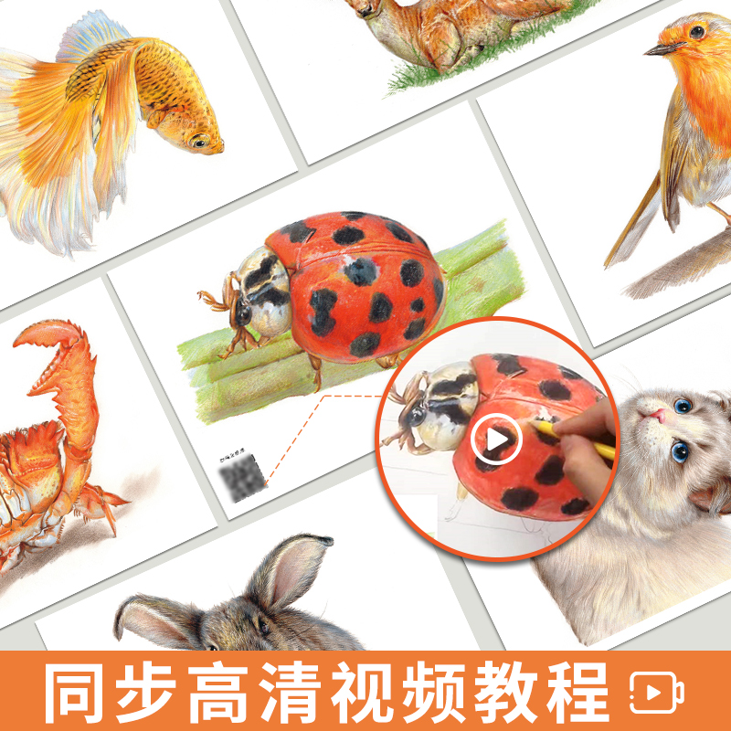 [醉染正版]彩铅临摹卡动物篇2022一线美誉步骤对应美术绘画卡片兴趣高清原创高清大图