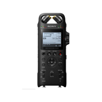 索尼(SONY)PCM-D10 高清录专业电台录音棚录音双麦克风 高解析度数码录音棒 录音笔 16GB