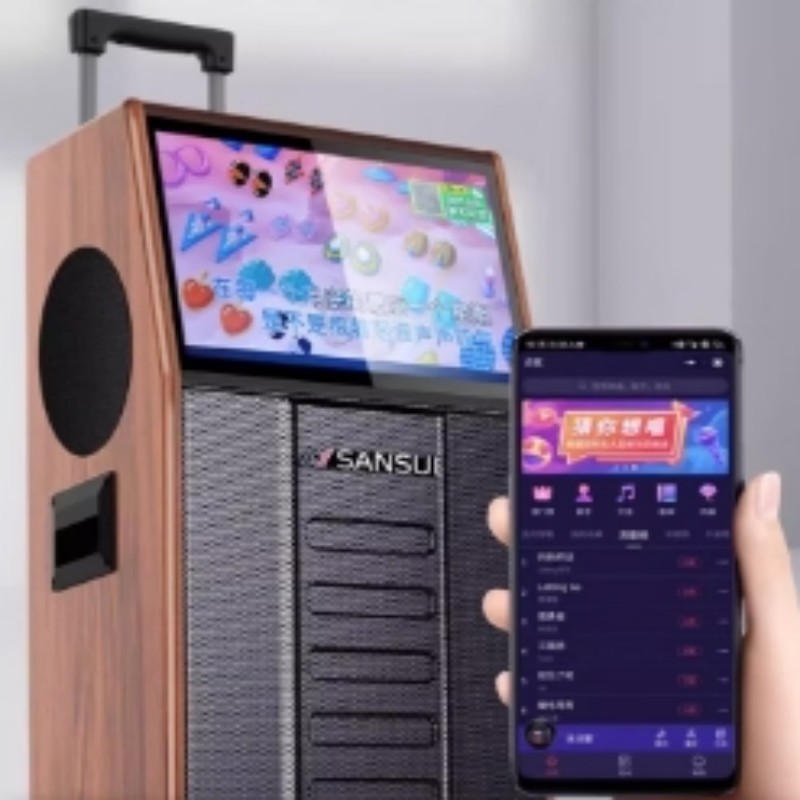 SANSUI(山水)PC126木质家庭户外大功率演出音响高清大图