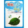 播撒创意的种子