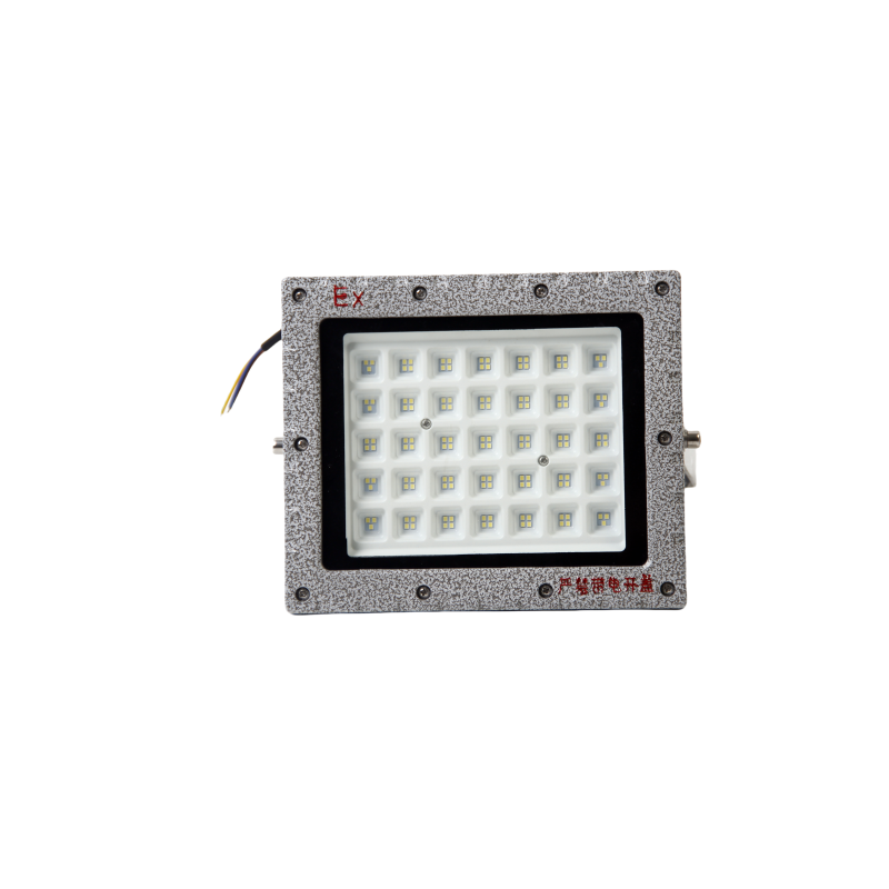 浙冠荣 GRDF97-50W 免维护LED防爆泛光灯高清大图