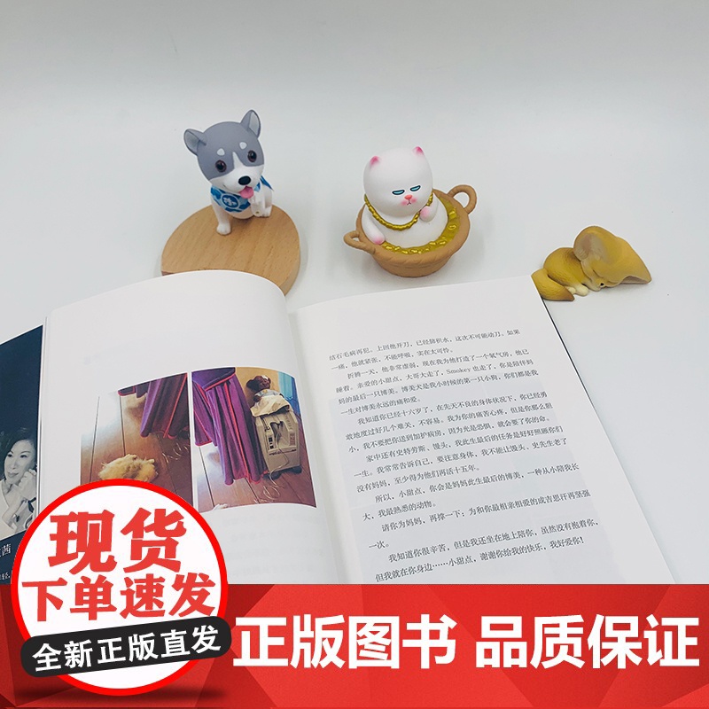 [ 正版书籍]为爱奔波:毛小孩们教我的生死课高清大图