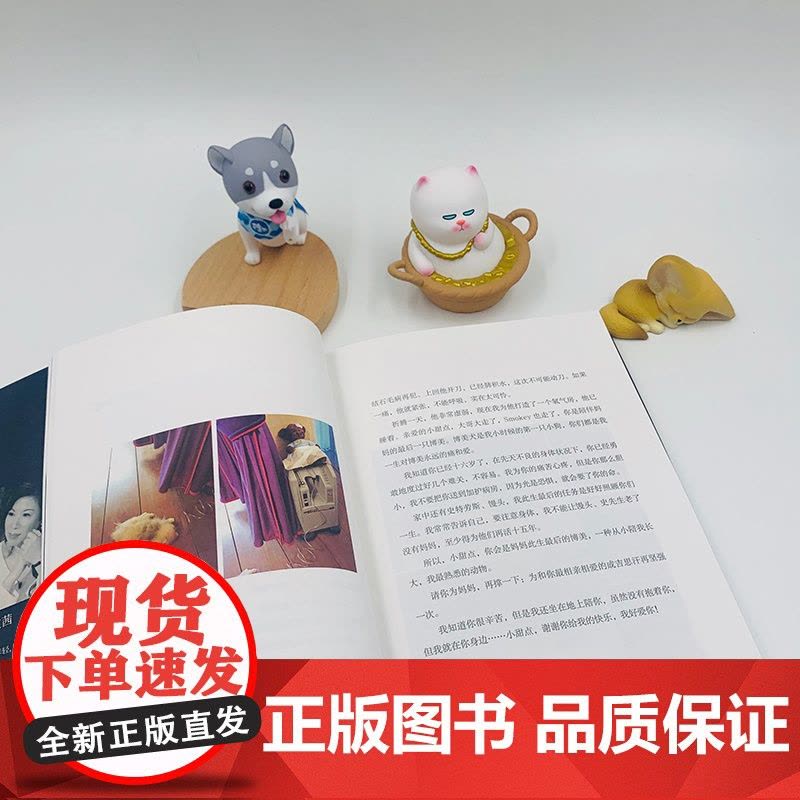 [ 正版书籍]为爱奔波:毛小孩们教我的生死课图片