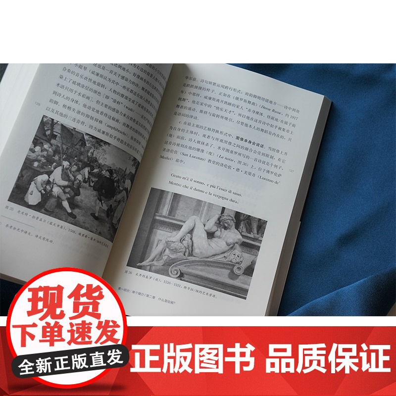 缪斯之艺 泛美学研究 丹尼尔 奥尔布赖特 当代学术棱镜译丛 折射集 视觉文化与艺术史系列 艺术理论 南京大学出版社高清大图