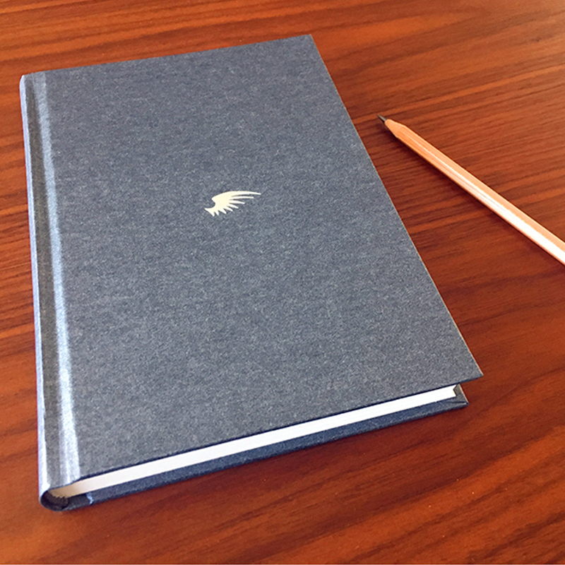 [M]伽利略的苦恼-9787530216842高清大图