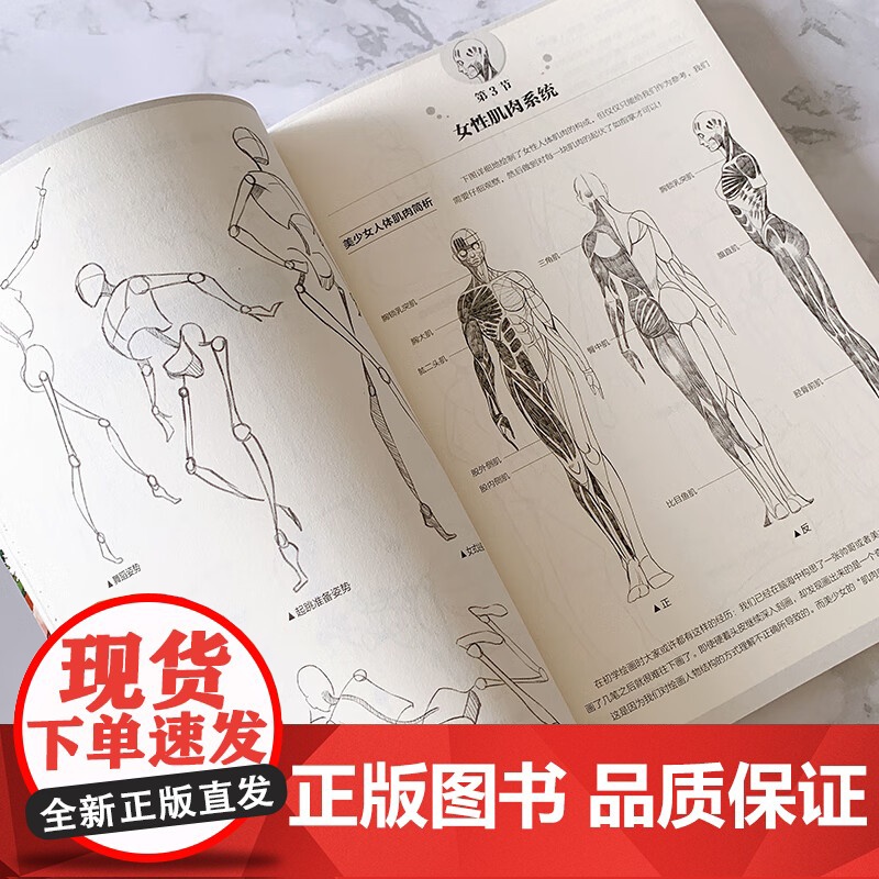 少女漫画教程书 你醒了 起来画画吧 月工坊 编著 漫画技法高清大图