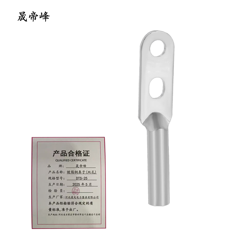 晟帝峰 镀锡铜鼻子(双孔) DTS-25 个