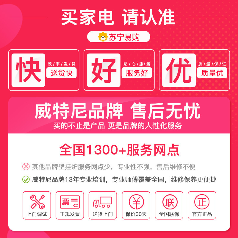 威特尼(Vaitny) 24KW壁挂炉 CE系列 采暖炉热水器两用(天然气) 板换技术恒温拒绝忽冷忽热100-180㎡高清大图