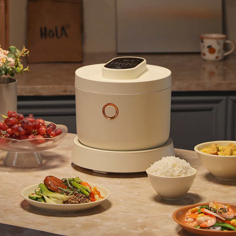 蓝宝(BLAUPUNKT) 3L低糖电饭煲蒸汽米汤饭煲 多功能家用 BP-FB01高清大图