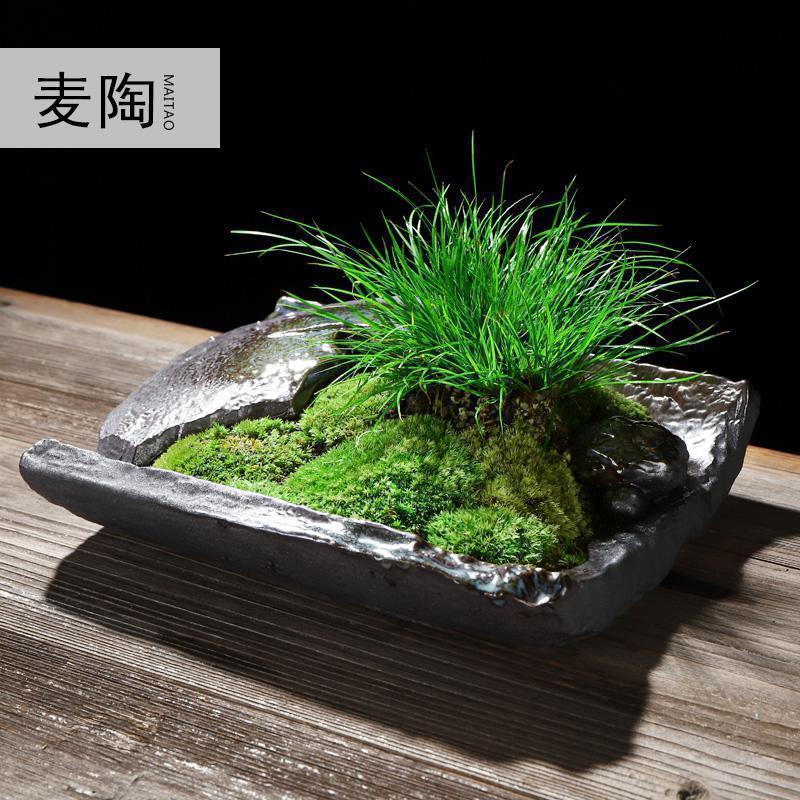 禅创意陶瓷花盆简约个性菖蒲袖珍椰子植用室内组合盆栽装饰品_955